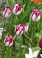 201304 034