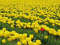 201304 036