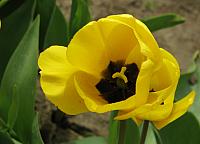 201304 054