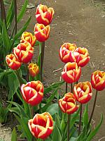 201304 063