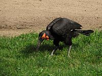 201304 014