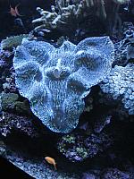 201306 122