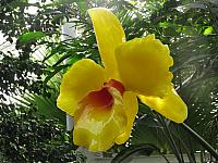 20130601 032