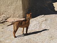 201310SW 093