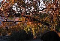 201310SW 314