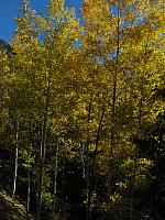 201310SW 585