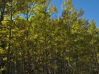 201310SW 620
