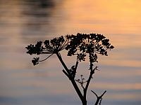 201311 066