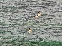 201312HawaiiA 150