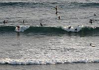 201312HawaiiA 151