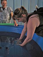 201312HawaiiA 531