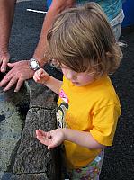 201312HawaiiA 534