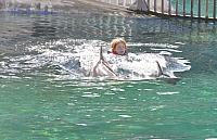 201312 Hawaii C 077