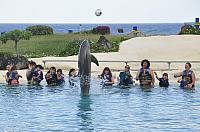 201312 Hawaii C 105