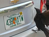 201402CaribK 177