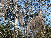 201402Carib 049