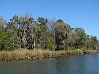 201402Carib 077