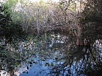 201402Carib 213