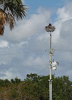 201402Carib 1247
