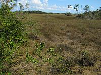 201402Carib 1307