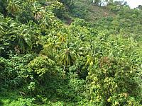 201402Carib 872