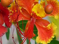 201402CaribK 472