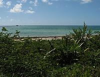 201402Carib 249