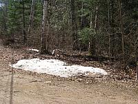 201404 Canada 124