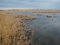 201404 Canada 191