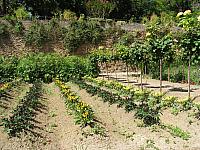201407 Espana 1217