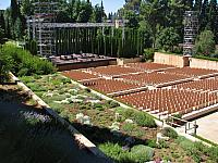 201407 Espana 1261