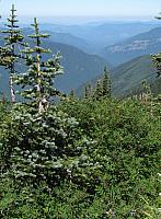 201408 Crystal Mtn 048