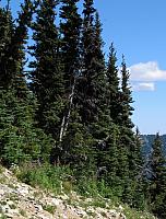 201408 Crystal Mtn 052