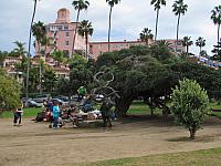 201411 255