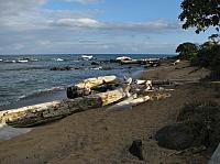 201501 Hawaii 139