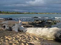 201501 Hawaii 140