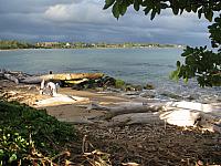 201501 Hawaii 142