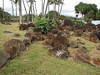 201501 Hawaii 150