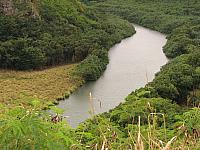 201501 Hawaii 176