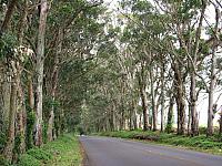 201501 Hawaii 212