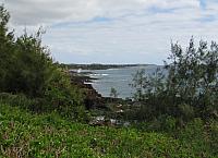 201501 Hawaii 239