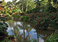 201501 Hawaii 246