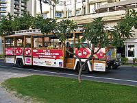 201501 Hawaii 331