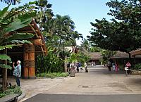 201501 Hawaii 398