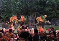 201501 Hawaii 491