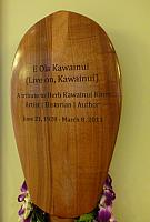 201501 Hawaii 984