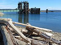201509OlympicPeninsula 014