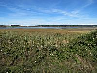 201509OlympicPeninsula 020