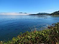 201509OlympicPeninsula 051