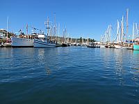 201509OlympicPeninsula 086